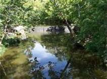 Image of a creek